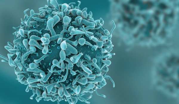 Clinical Oncology Welcome Image